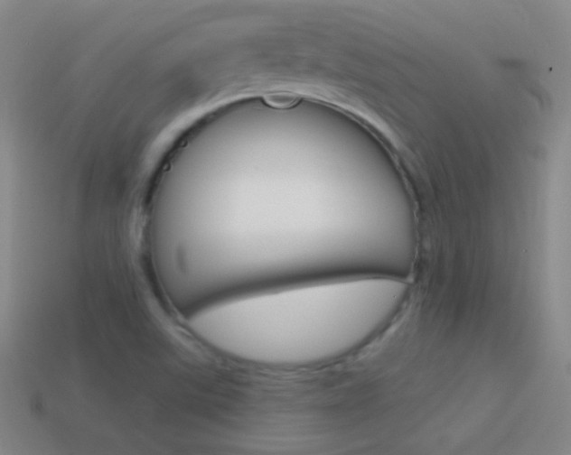 X0000114581507200910191043