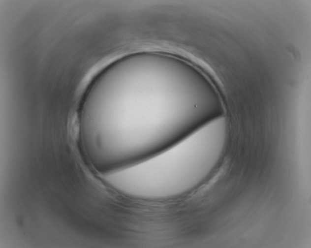 X0000114581509200910191043