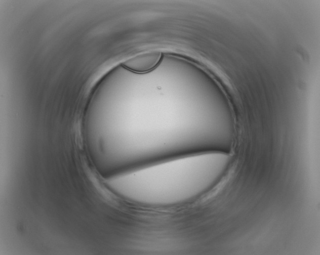 X0000114581513200910191044