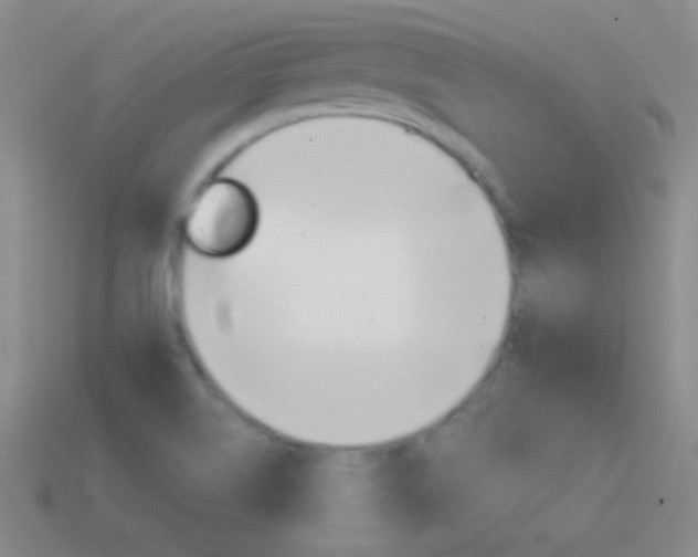 X0000114581514200910191044