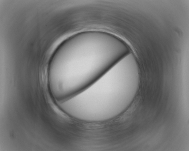 X0000114581515200910191044