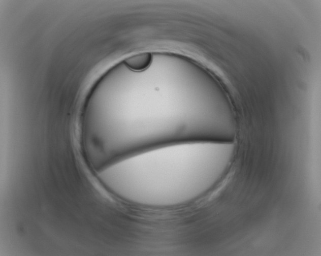 X0000114581517200910191044
