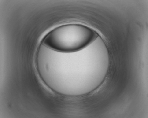 X0000114581518200910191044
