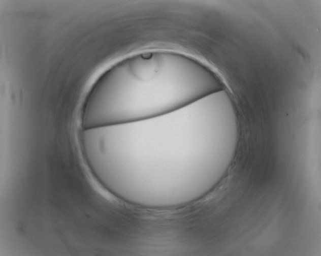 X0000114581519200910191044