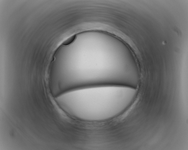 X0000114581521200910191044
