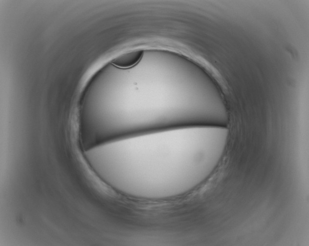 X0000114581522200910191044