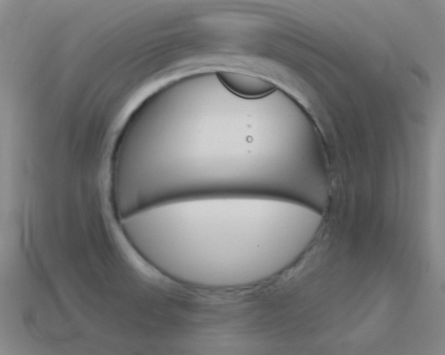 X0000114581523200910191044