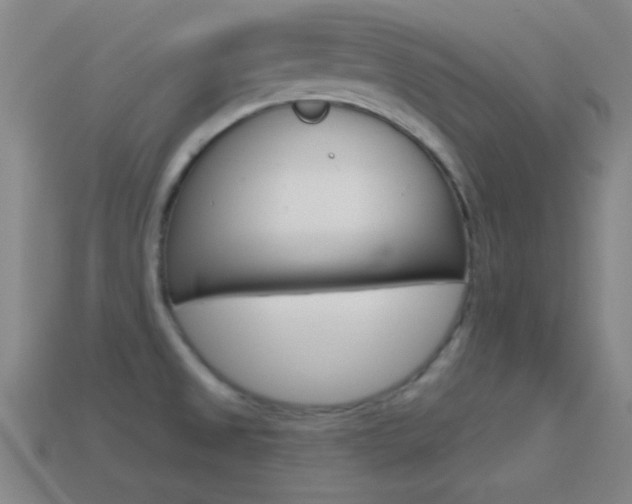X0000114581525200910191044