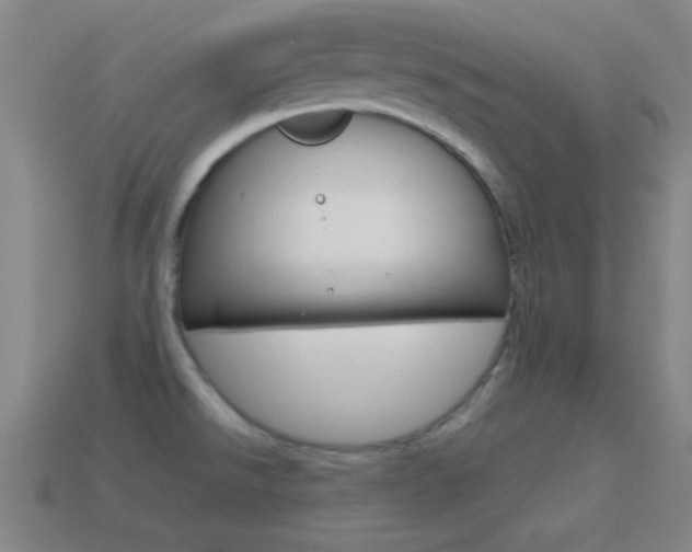 X0000114581526200910191044