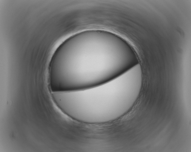 X0000114581527200910191044