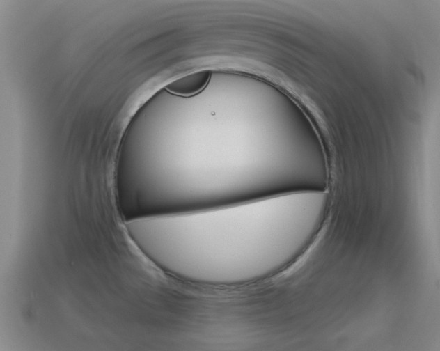 X0000114581529200910191044