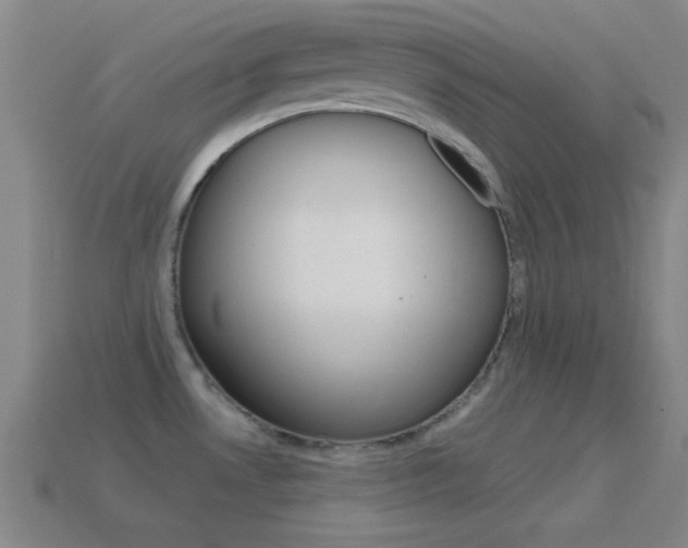 X0000114581530200910191044