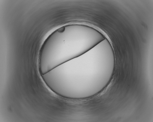 X0000114581533200910191044