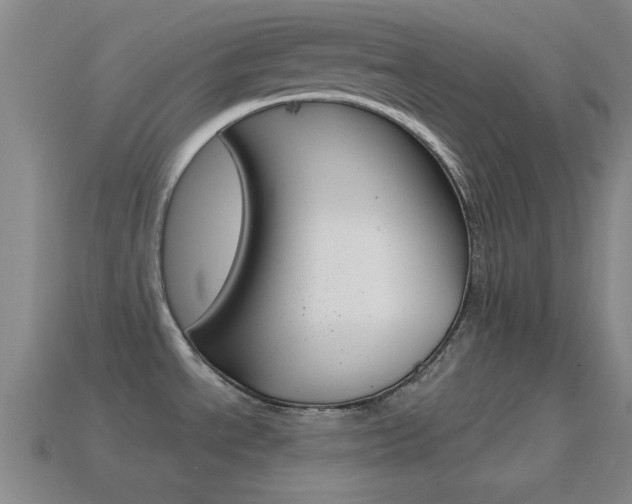 X0000114581534200910191044