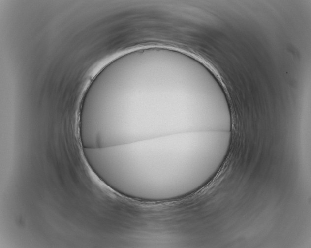 X0000114581535200910191044