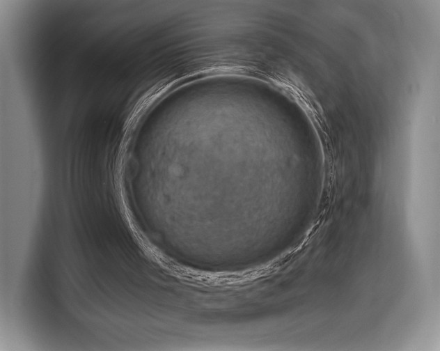 X0000114580001200910191532