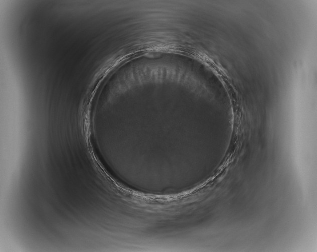 X0000114580002200910191532