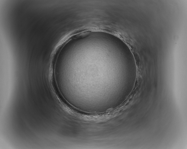 X0000114580005200910191532