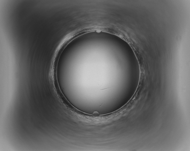 X0000114580006200910191532