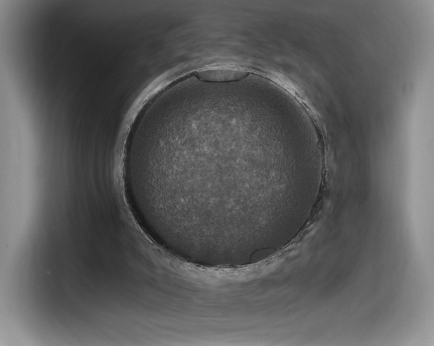 X0000114580007200910191532