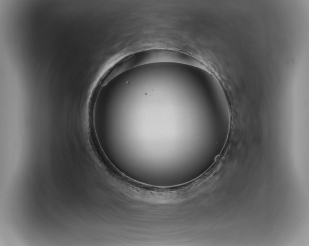 X0000114580008200910191532