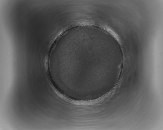 X0000114580009200910191532