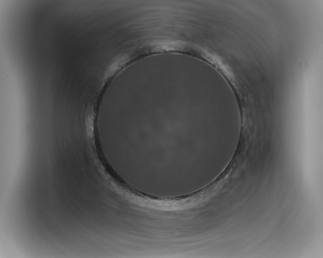 X0000114580010200910191532