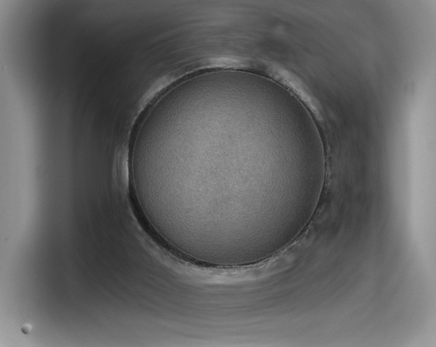 X0000114580011200910191532