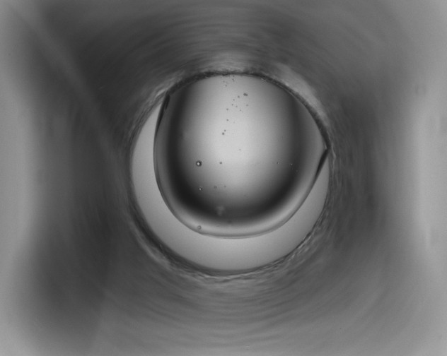 X0000114580013200910191532