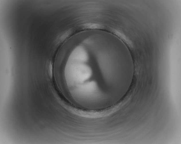 X0000114580014200910191532