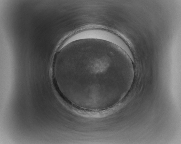 X0000114580015200910191532