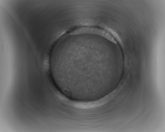 X0000114580017200910191532