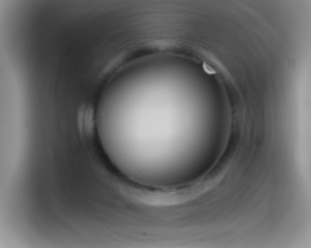 X0000114580024200910191532