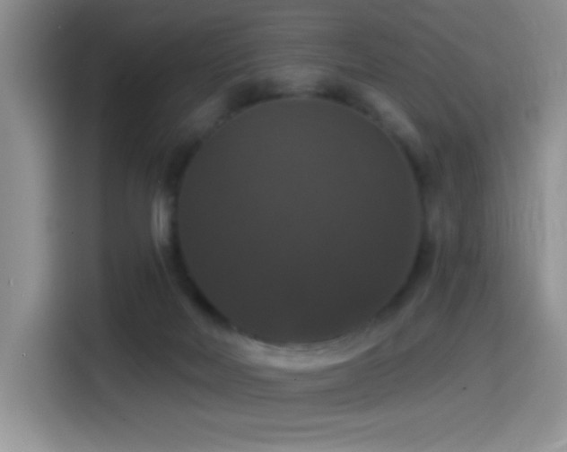 X0000114580026200910191532