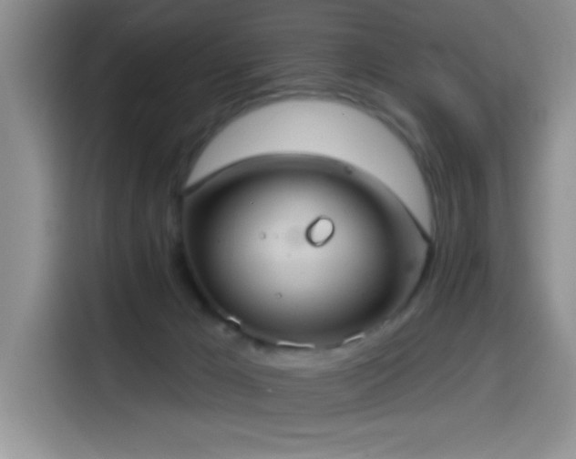 X0000114580029200910191532