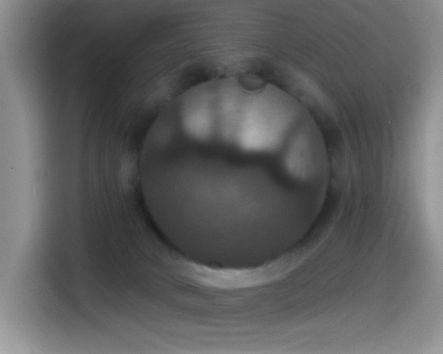 X0000114580034200910191532