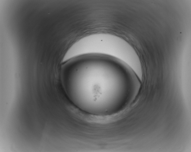 X0000114580037200910191532