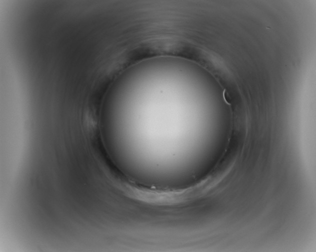 X0000114580040200910191532