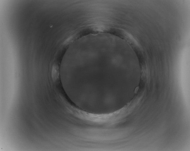 X0000114580043200910191532