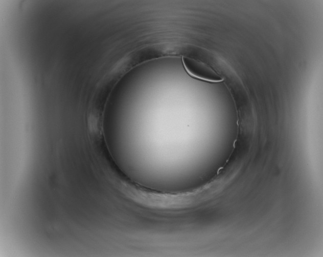 X0000114580044200910191532