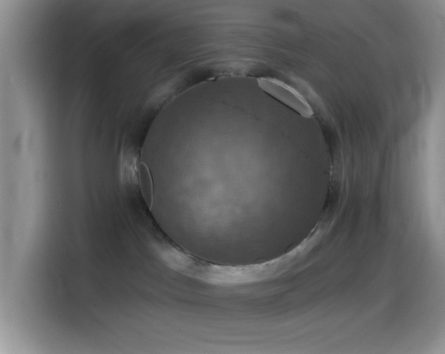 X0000114580045200910191532