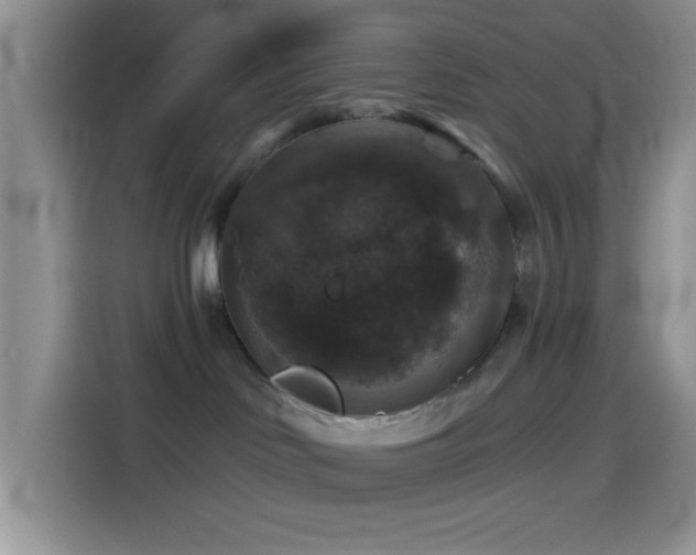 X0000114580046200910191532