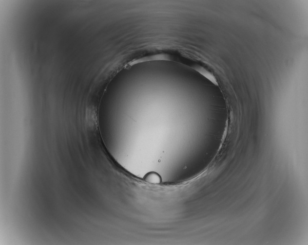 X0000114580048200910191532