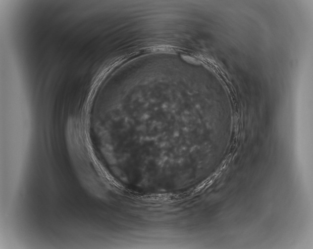 X0000114580049200910191531