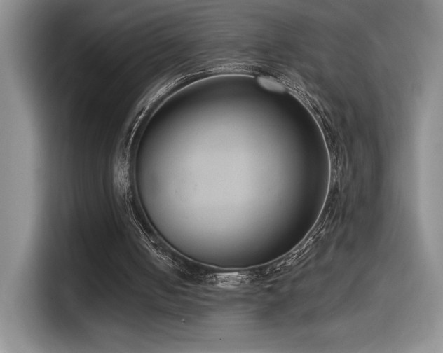 X0000114580050200910191531