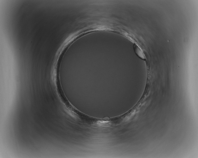 X0000114580055200910191531