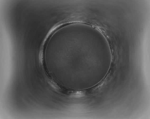 X0000114580056200910191531