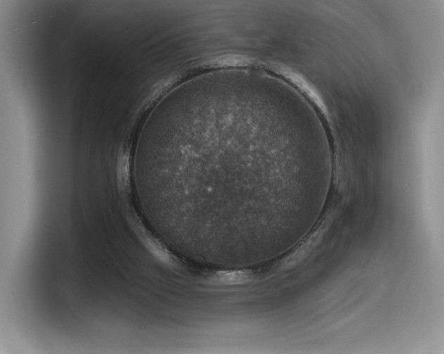 X0000114580057200910191531