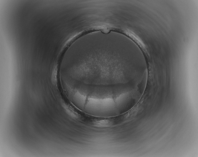 X0000114580058200910191531