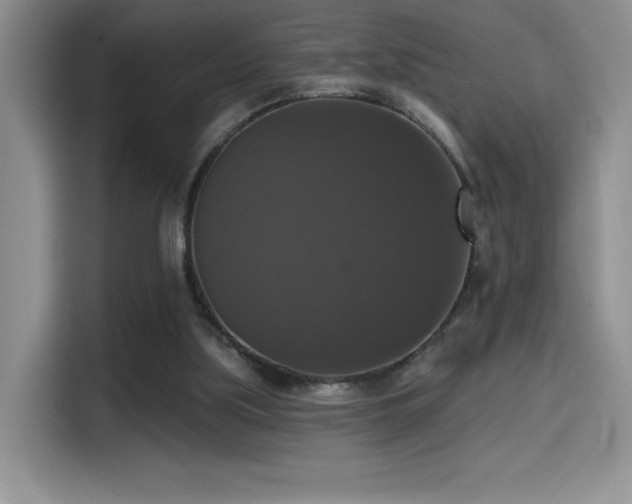 X0000114580059200910191531